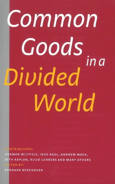 bokomslag Common Goods in a Divided World