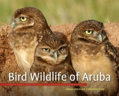 bokomslag Bird Wildlife of Aruba