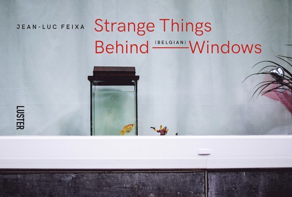 Strange Things Behind Belgian Windows 1