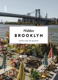 bokomslag Hidden Brooklyn