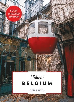 bokomslag Hidden Belgium