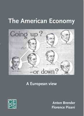 Anton Brender, Florence Pisani - American Economy, Häftad