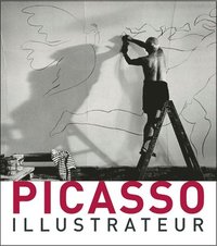 bokomslag Picasso