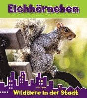 bokomslag Eichhörnchen