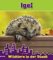 Igel 1