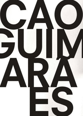 Cao Guimaraes (eye Amsterdam) 1