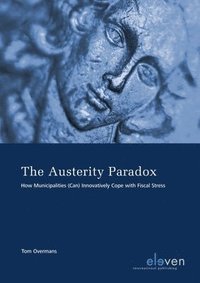 bokomslag The Austerity Paradox