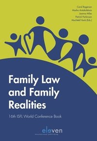 bokomslag Family Law and Family Realities