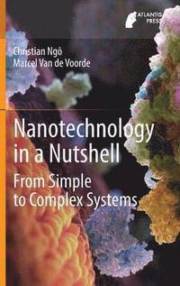 bokomslag Nanotechnology in a Nutshell