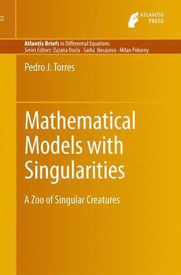bokomslag Mathematical Models with Singularities