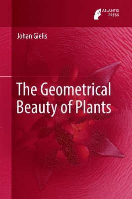bokomslag Geometrical Beauty of Plants