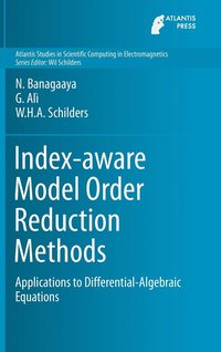 bokomslag Index-aware Model Order Reduction Methods