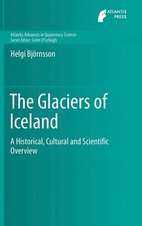 bokomslag The Glaciers of Iceland