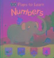 bokomslag 100 FLAPS TO LEARN NUMBERS