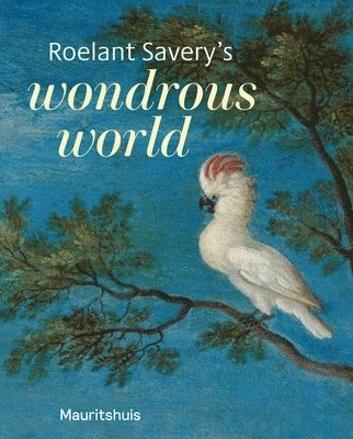 bokomslag Roelant Saverys Wondrous World