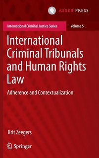 bokomslag International Criminal Tribunals and Human Rights Law
