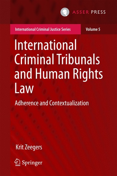 bokomslag International Criminal Tribunals and Human Rights Law