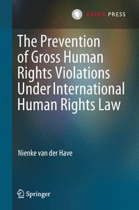 bokomslag The Prevention of Gross Human Rights Violations Under International Human Rights Law