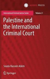 bokomslag Palestine and the International Criminal Court