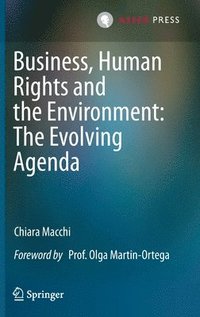 bokomslag Business, Human Rights and the Environment: The Evolving Agenda