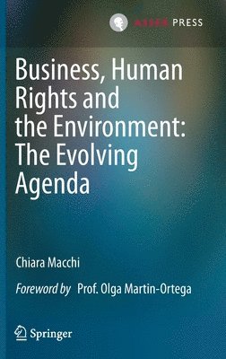 bokomslag Business, Human Rights and the Environment: The Evolving Agenda