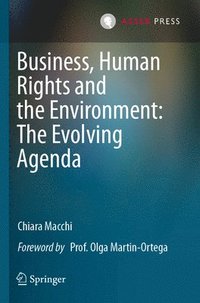 bokomslag Business, Human Rights and the Environment: The Evolving Agenda