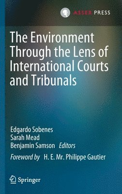 bokomslag The Environment Through the Lens of International Courts and Tribunals