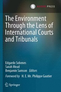 bokomslag The Environment Through the Lens of International Courts and Tribunals