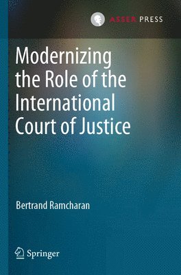 bokomslag Modernizing the Role of the International Court of Justice