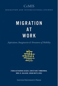 bokomslag Migration at Work