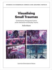 bokomslag Visualising Small Traumas