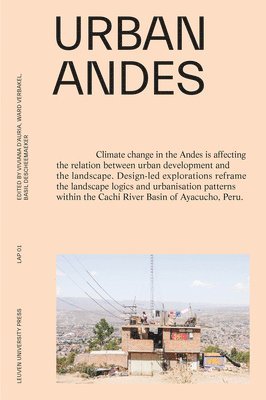 bokomslag Urban Andes