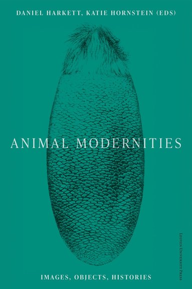 bokomslag Animal Modernities