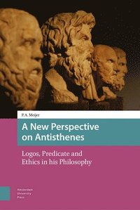 bokomslag A New Perspective on Antisthenes
