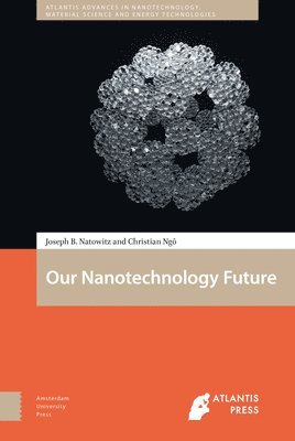 Our Nanotechnology Future