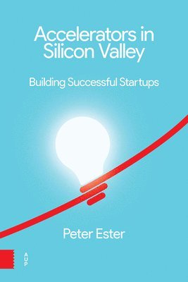 Accelerators in Silicon Valley 1