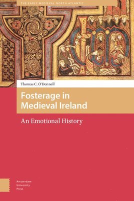 bokomslag Fosterage in Medieval Ireland