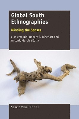 bokomslag Global South Ethnographies