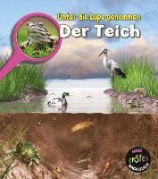 bokomslag Der Teich