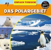 bokomslag Das Polargebiet