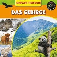 bokomslag Das Gebirge