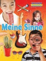 bokomslag Meine Sinne