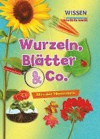 bokomslag Wurzeln, Blätter & Co.