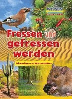 bokomslag Fressen und gefressen werden