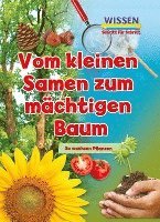 bokomslag Vom kleinen Samen zum mächtigen Baum