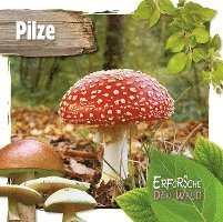 Pilze 1