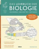 bokomslag Das Lehrbuch der Biologie