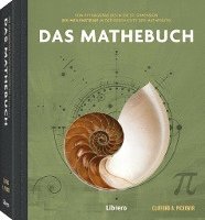 bokomslag 250 Meilensteine Das Mathebuch