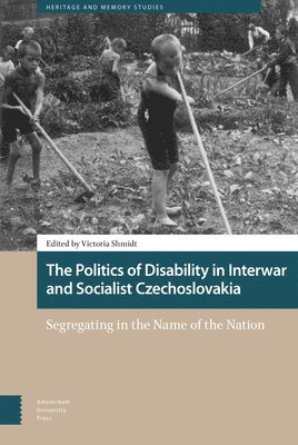 bokomslag The Politics of Disability in Interwar and Socialist Czechoslovakia