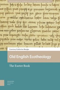 bokomslag Old English Ecotheology